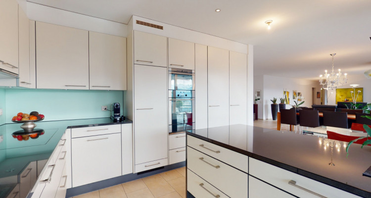 Exklusive Terrassenwohnung mit fantastischer Aussicht image 11