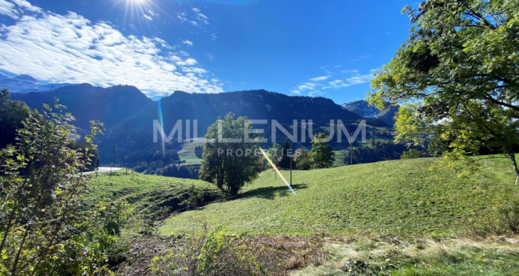Exclusivité - Chalet avec vue panoramique à Vers léglise (Les Diablerets) image 2