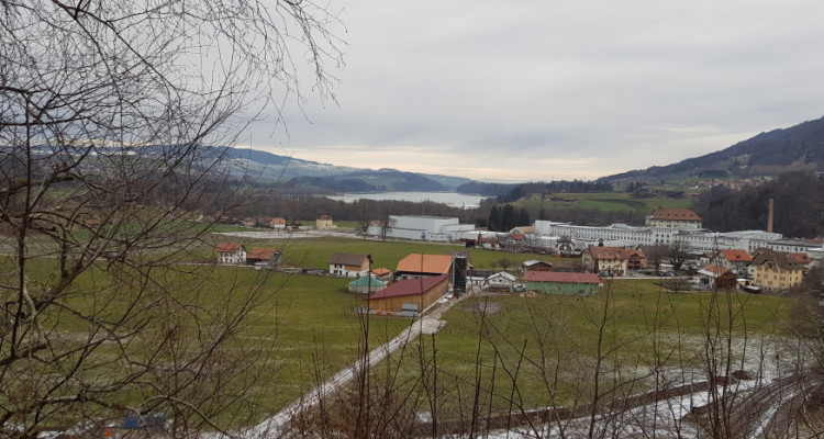 Magnifique maison de 5.5 pièces avec vue sur le Lac de Gruyère image 2