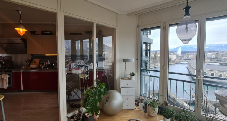 Magnifique 6 pièces vue exceptionnelle en sous-location longue durée  image 8