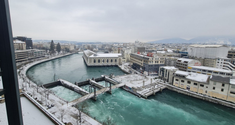 Magnifique 6 pièces vue exceptionnelle en sous-location longue durée  image 11
