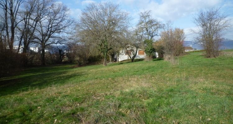 Genève Parcelle agricole de 6’495 m2 (non soumise à la LDFR)  Propriété Atypique  image 1