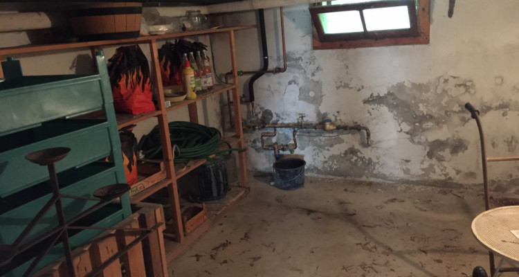 Genève Parcelle agricole de 6’495 m2 (non soumise à la LDFR)  Propriété Atypique  image 15