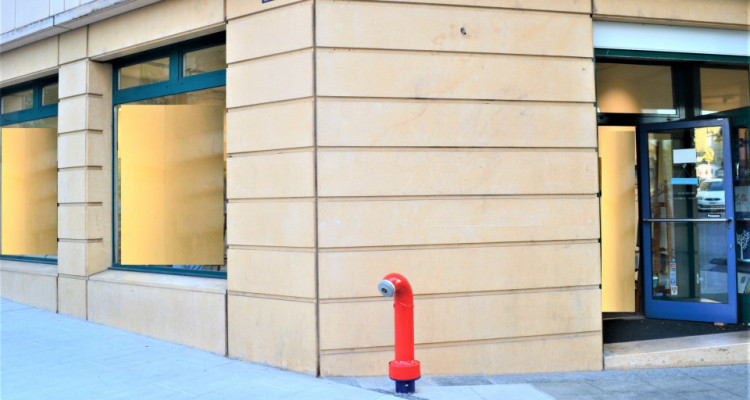 Superbe arcade dangle quartier de Plainpalais image 2