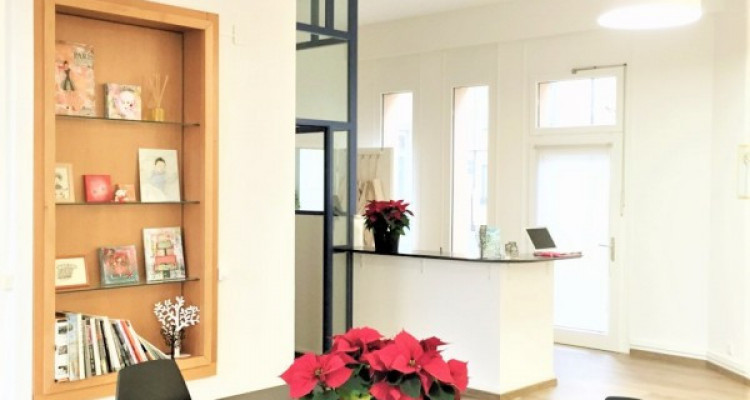 Superbe arcade dangle quartier de Plainpalais image 4