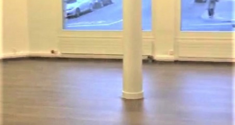 Superbe arcade dangle quartier de Plainpalais image 6