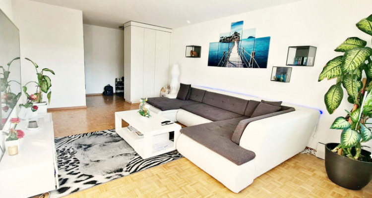 Superbe appartement 3.5 p / 2 chambres / SDB  image 3