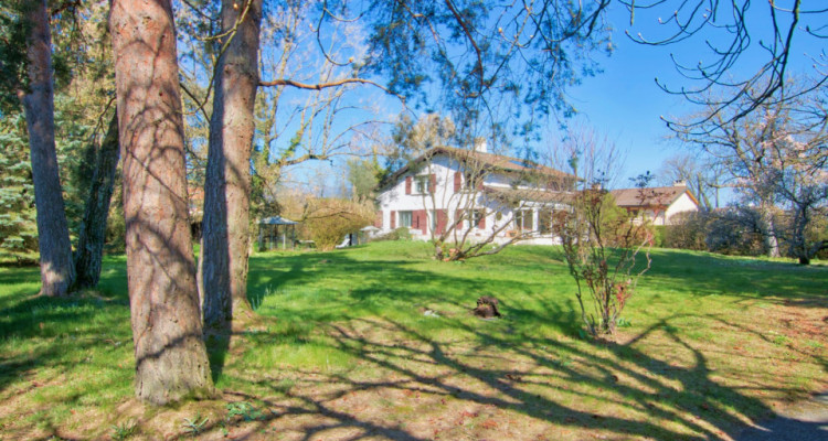 Maison individuelle avec grande parcelle de 3394 m2 image 3