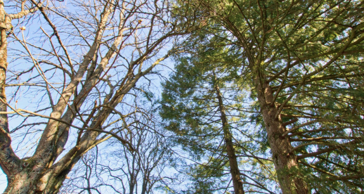 Maison individuelle avec grande parcelle de 3394 m2 image 7