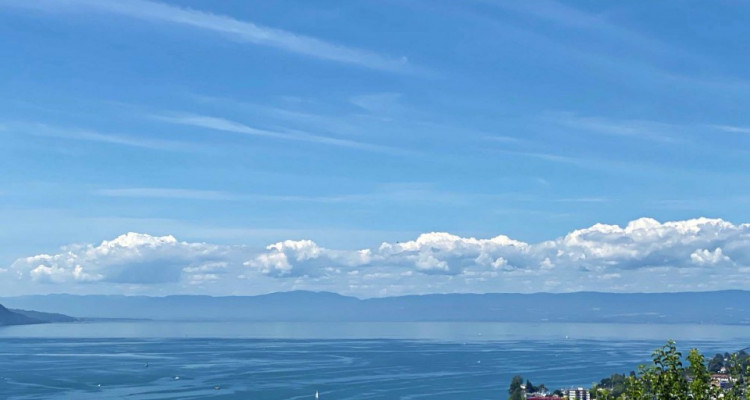 Magnifique villa -Vue imprenable sur le lac - Jardin - Terrasse image 3