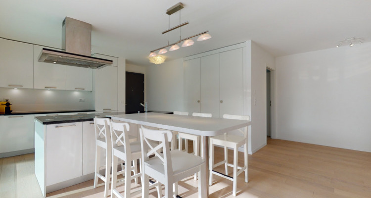 Bel appartement moderne avec grande terrasse, à Lausanne image 4