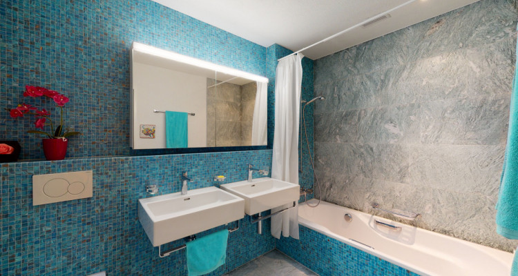 Lichtdurchflutete Attikawohnung mit grandioser Fernsicht image 9