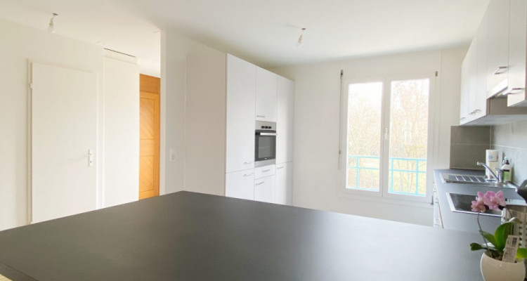 Joli triplex de 6 pièces rénové avec terrasse image 3