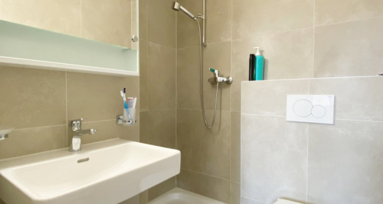 Joli triplex de 6 pièces rénové avec terrasse image 7