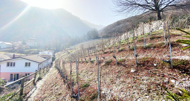 Magnifique villa jumelle 6.5 p / 4 chambres / Jardin et vue image 2