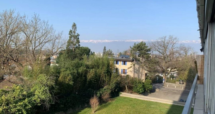 Joli 3 pièces à Grand-Saconnex image 7