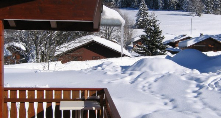 Ravisant chalet à la Bouriaz image 3