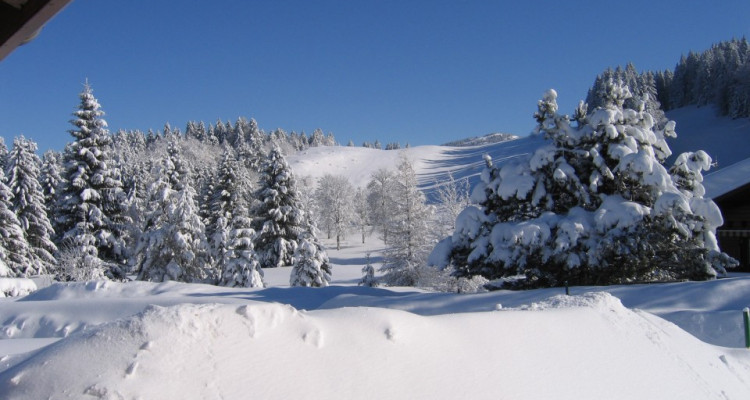 Ravisant chalet à la Bouriaz image 4