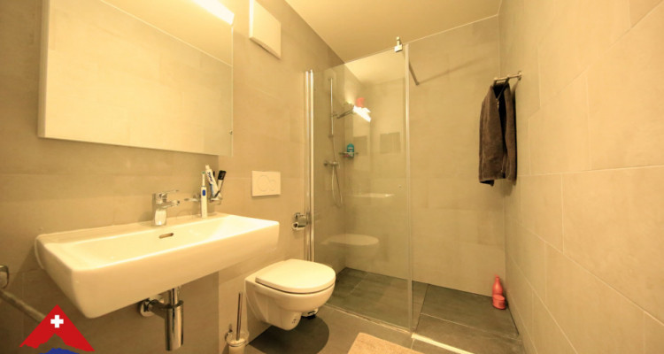 Magnifique apt 4.5p/Terrasse sur le toit avec vue panoramique sur lac image 6