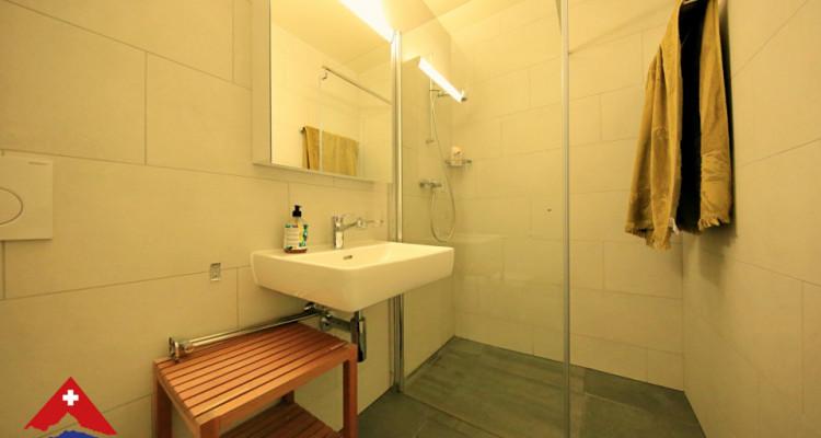 Magnifique apt 4.5p/Terrasse sur le toit avec vue panoramique sur lac image 8