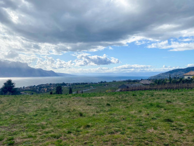 Plus que 1 villa  image 2