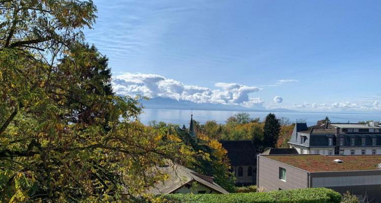 3D // Magnifique appartement 7 p / 4 chambres / 2 SDB / Balcons & vue  image 1