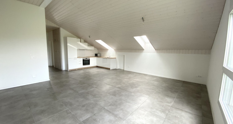 Charmant et spacieux appartement de 2.5 pièces image 4