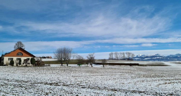 Magnifique attique en duplex de 2.5 pièces / balcon / calme  image 8