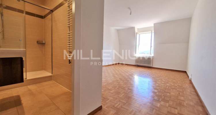 Attique - 4 Chambres image 7