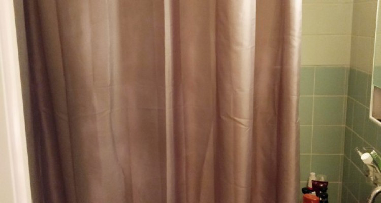 Studio à louer / Lausanne  image 3