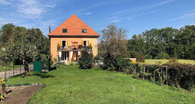 Maison familiale de 4 appartements avec jardin et verger image 1