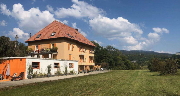 Maison familiale de 4 appartements avec jardin et verger image 2