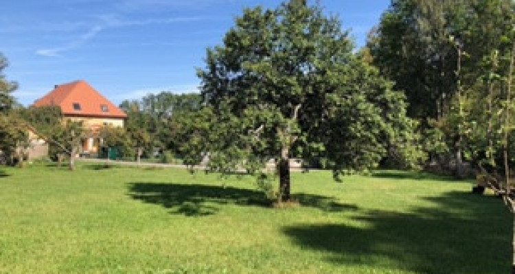 Maison familiale de 4 appartements avec jardin et verger image 4