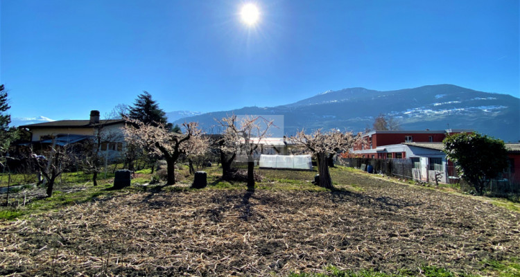 Magnifique et grand terrain à bâtir pour immeuble avec maison individuelle sur 3 niveaux image 2