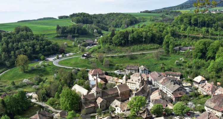 Idéal pour investisseurs! Rentabilité sur fonds propres 8,66 2.5 rooms