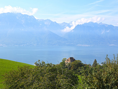 DANS LES HAUTEURS DE MONTREUX - SPLENDIDE APPARTEMENT - 8092498 image 2