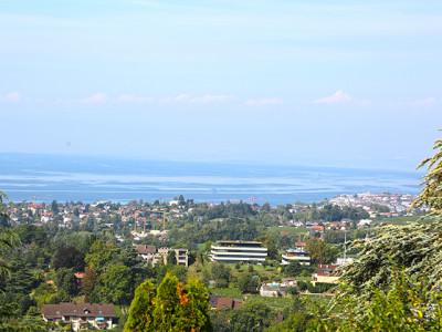 DANS LES HAUTEURS DE MONTREUX - SPLENDIDE APPARTEMENT - 8092498 image 3