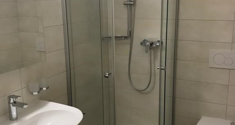 Nax - Balcon du Ciel - 4 pièces image 11