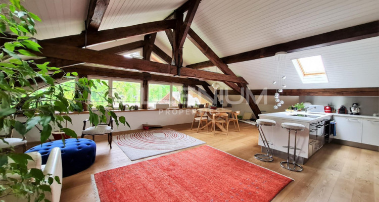 Attique - 2 chambres image 5