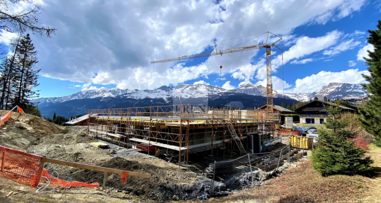 Combles / attique duplex volumineux de haut standing et magnifique vue panoramique dégagée image 2