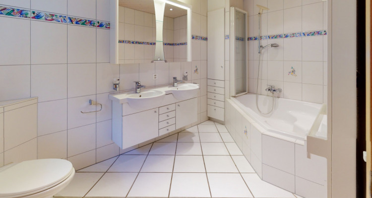 5.5-Zimmer Doppel-EFH mit 2.5-Zimmer-Einliegerwohnung image 7