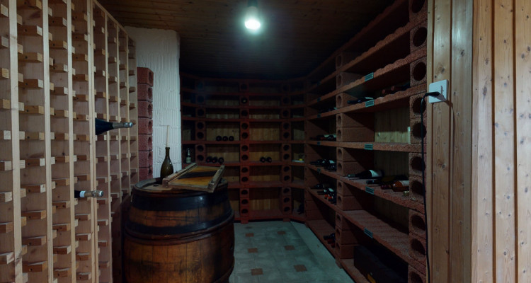 Magnifique villa avec studio indépendant et grand garage image 12