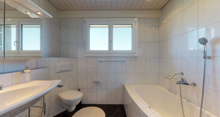 Dachwohnung mit Charm und grosser Terrasse image 10