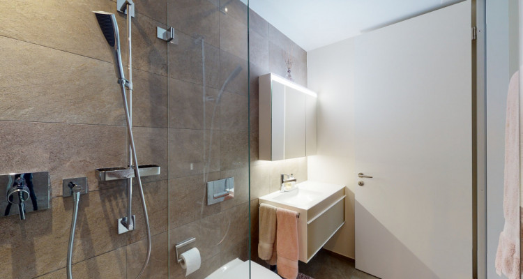 Wilkommen im 13. OG - Skyline von Zürich mit Nord/West Panormamasicht image 11