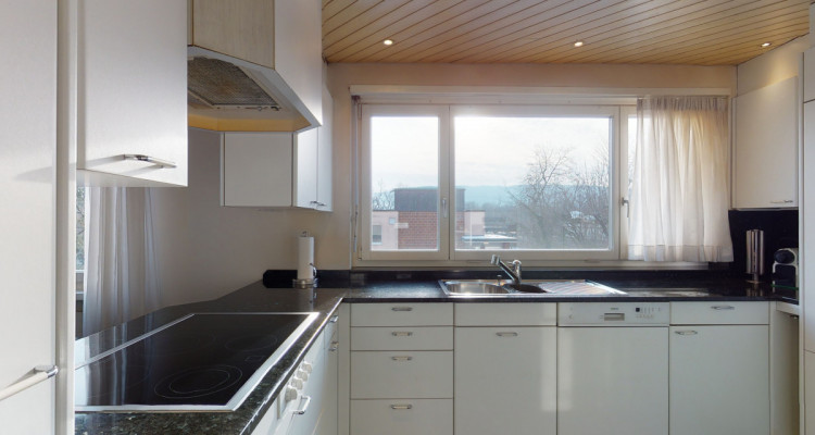 Wunderschöne,  geräumige und helle Terrassenwohnung auf einer Ebene image 6