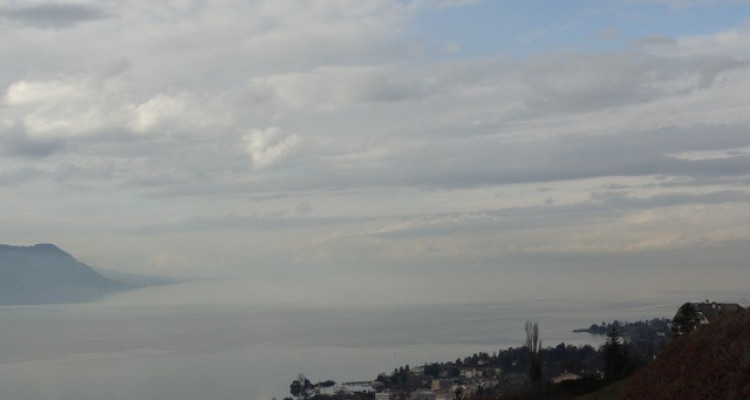 Hauts de Montreux: magnifique terrain constructible image 2