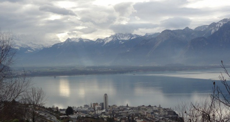 Hauts de Montreux: magnifique terrain constructible image 4