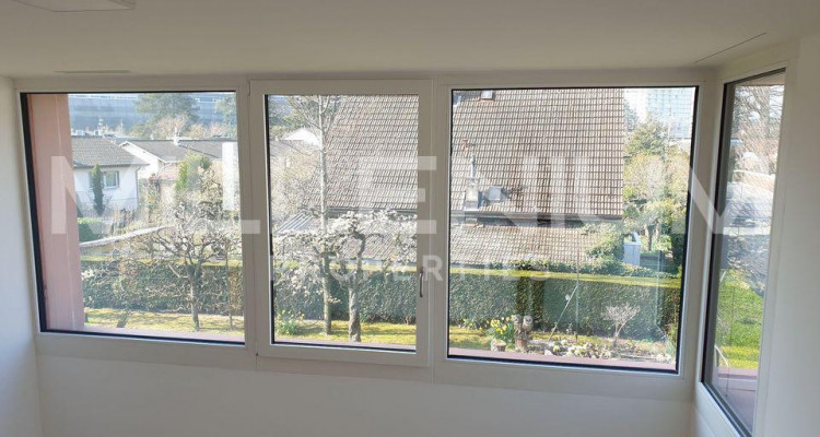 appartement en duplex Minergie à Thônex image 8