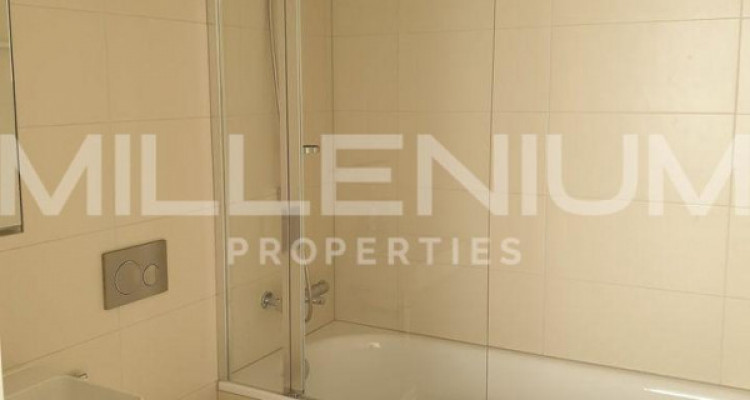 appartement en duplex Minergie à Thônex image 10