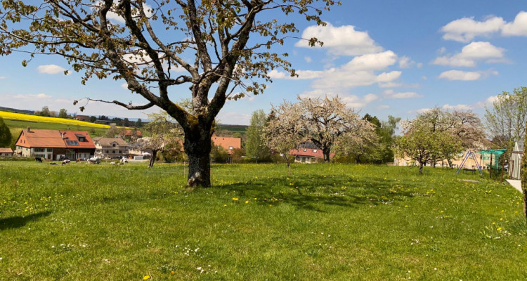 Appartement de 3 pièces - Route du Village 40 à Carrouge VD image 4